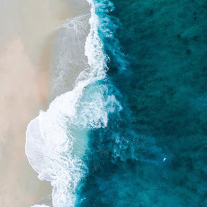 Meet your Posher, Shelby